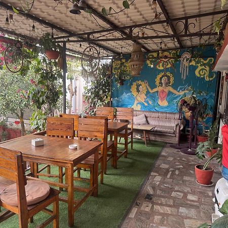 Birds Nest Hostel Katmandou Extérieur photo