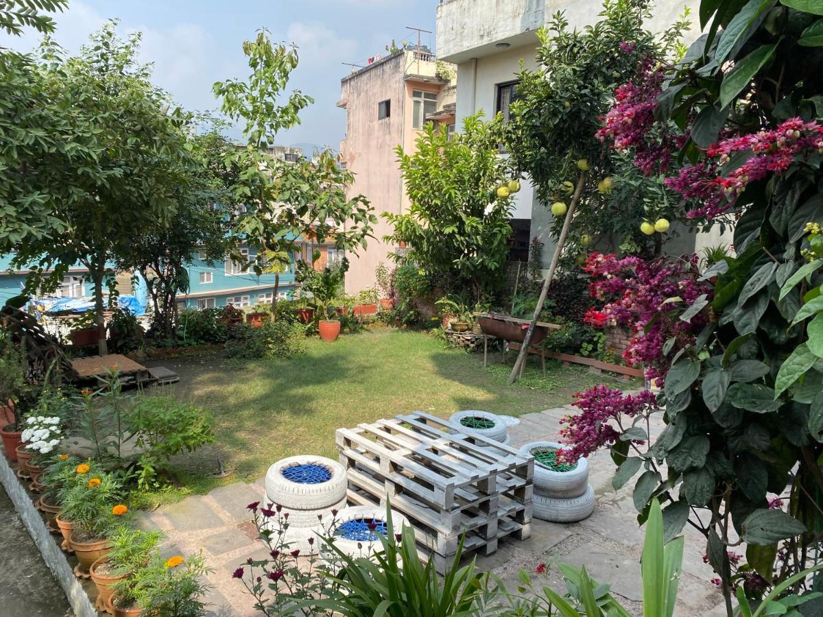 Birds Nest Hostel Katmandou Extérieur photo