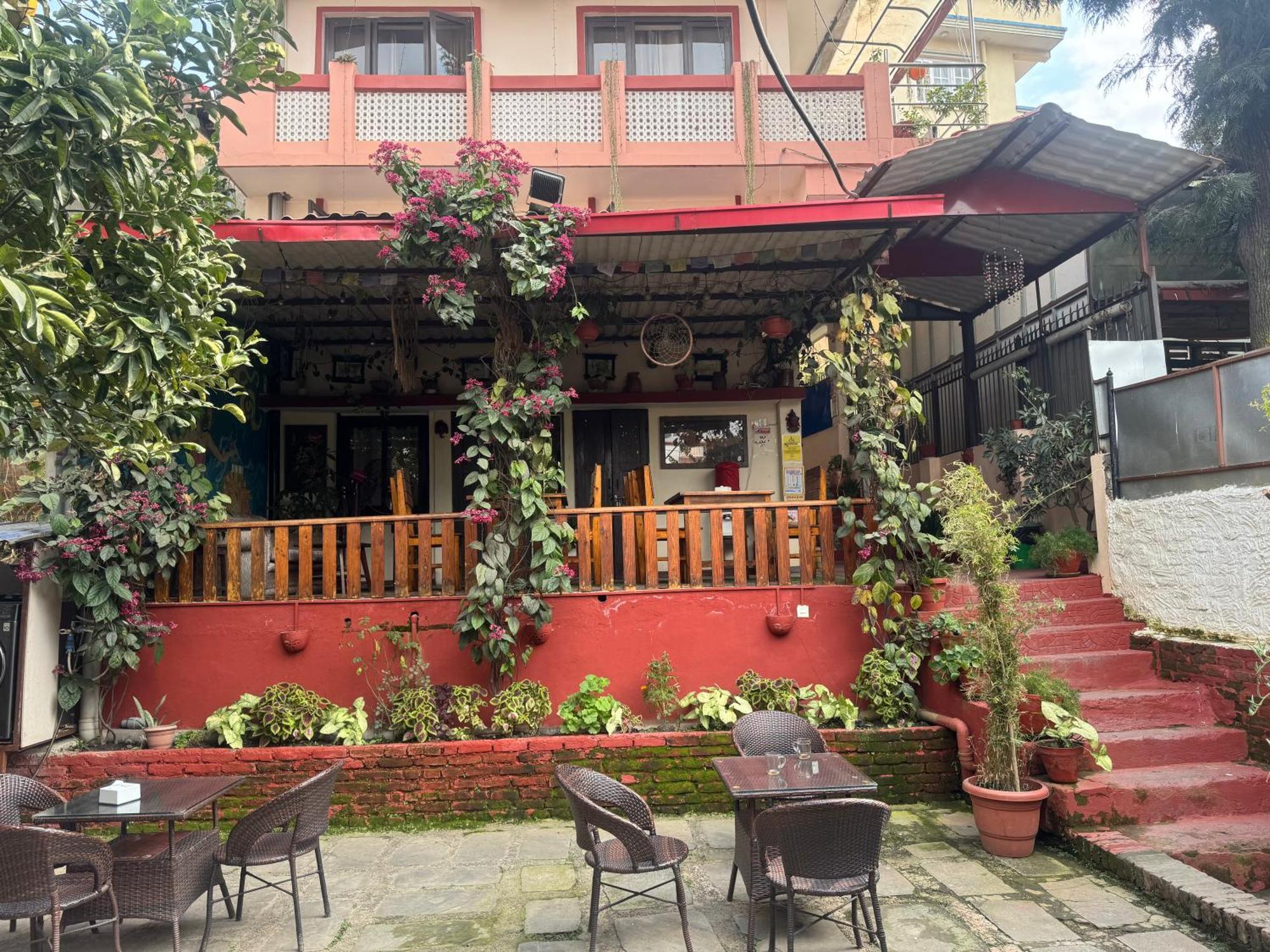 Birds Nest Hostel Katmandou Extérieur photo