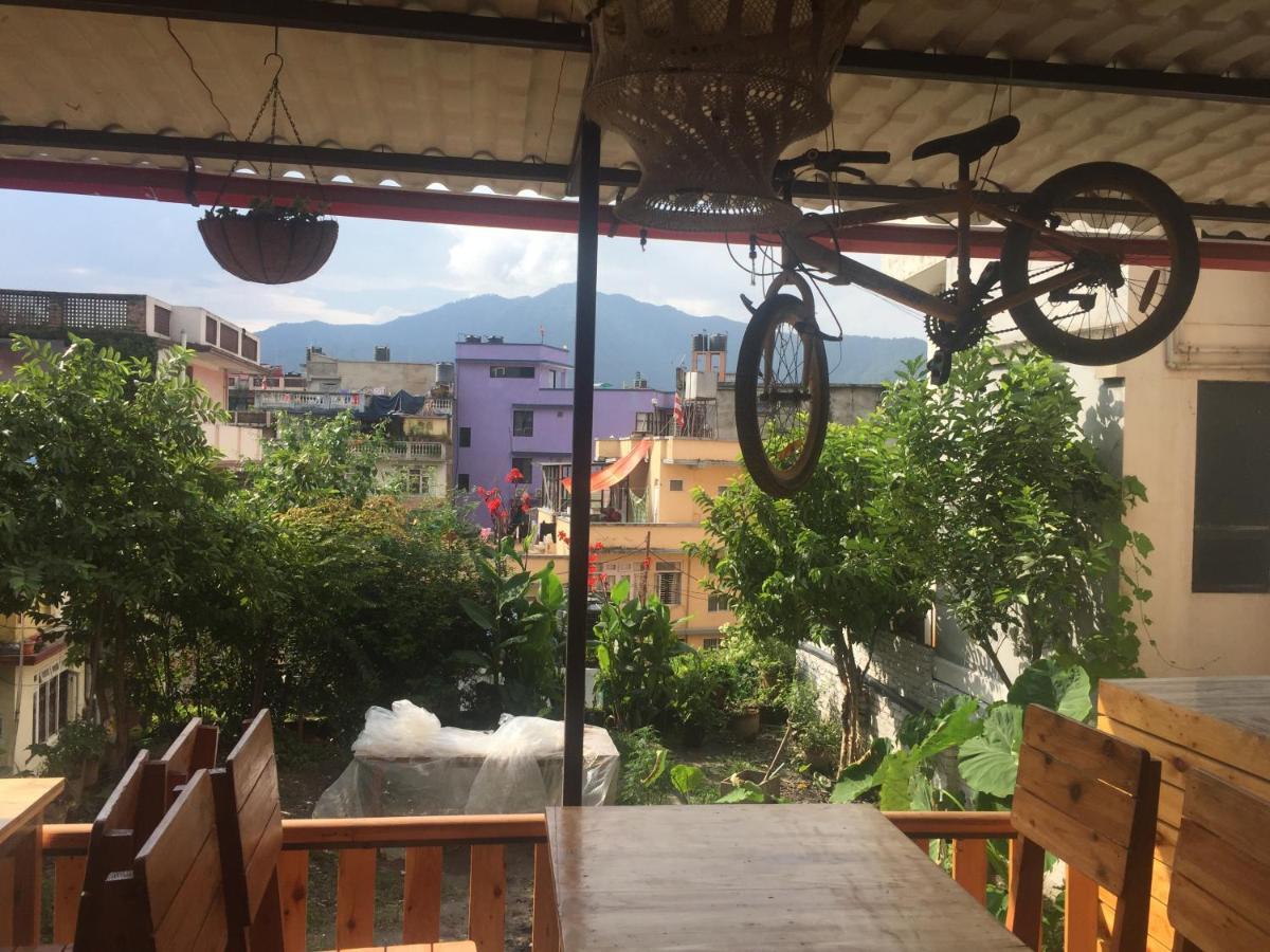 Birds Nest Hostel Katmandou Extérieur photo