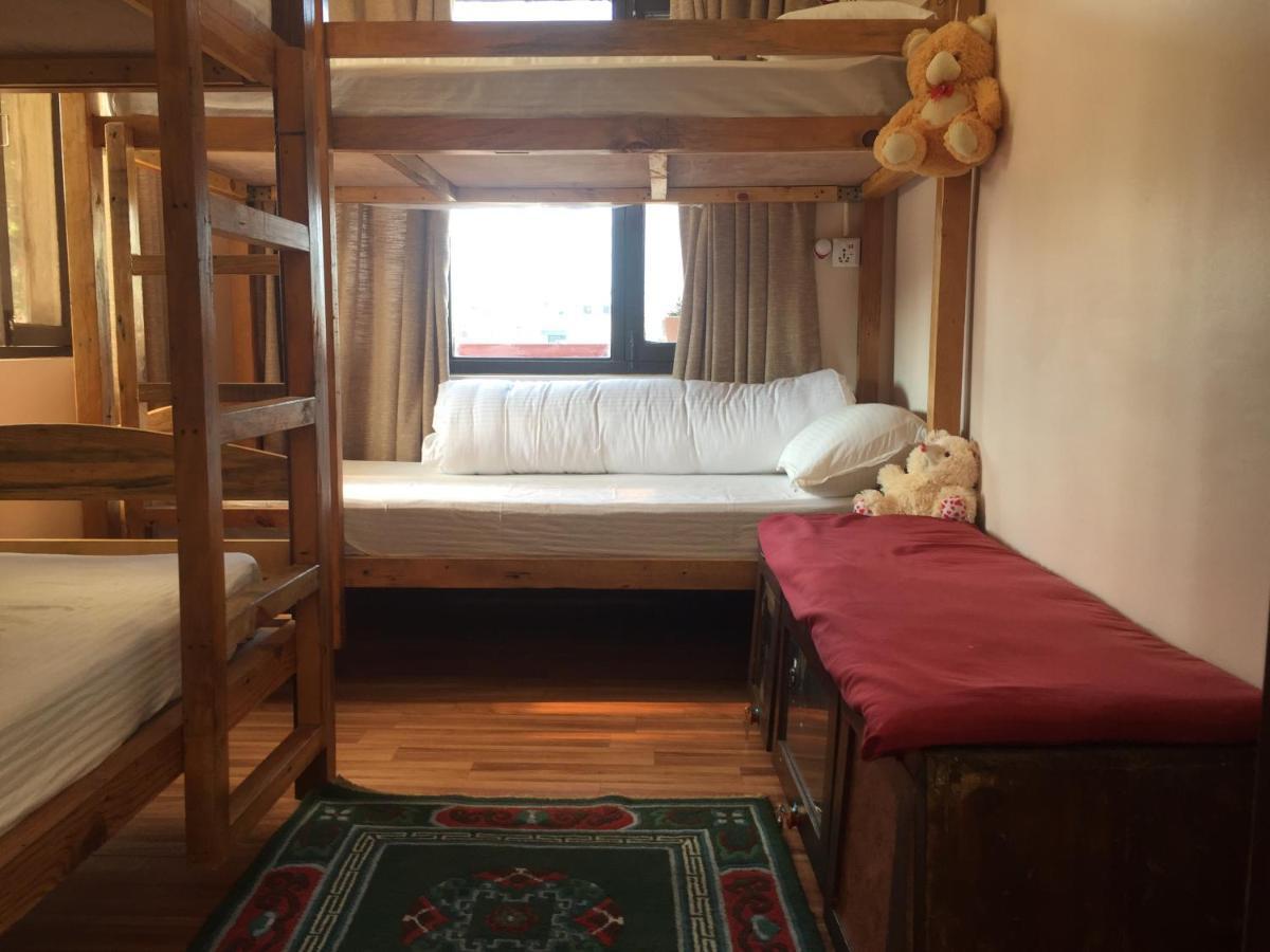 Birds Nest Hostel Katmandou Extérieur photo